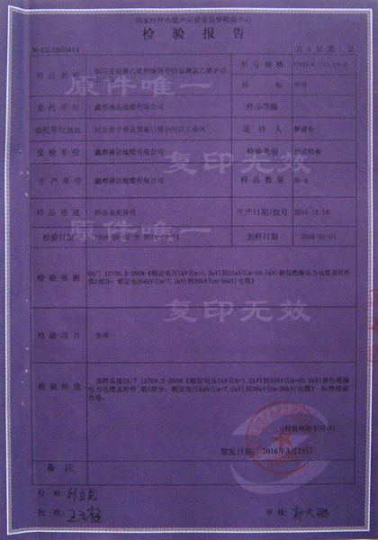 檢驗報告